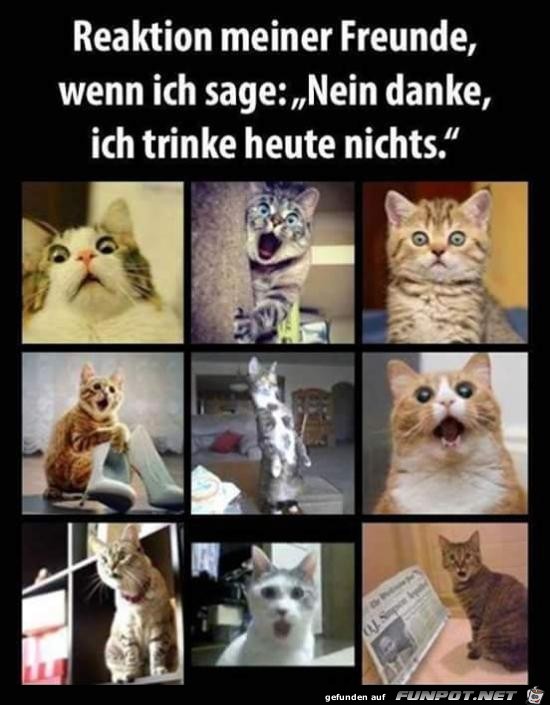 heute nicht heute nicht