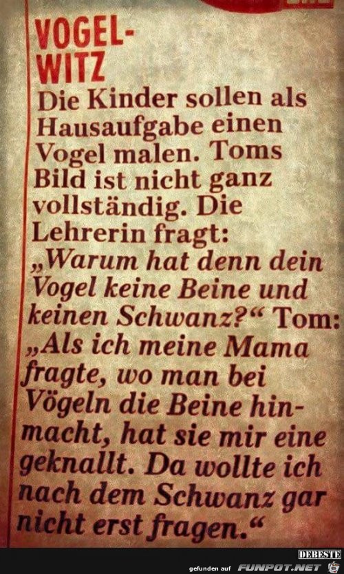 Vogel-Witz Vogel-Witz