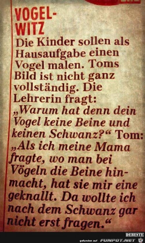 Vogel-Witz