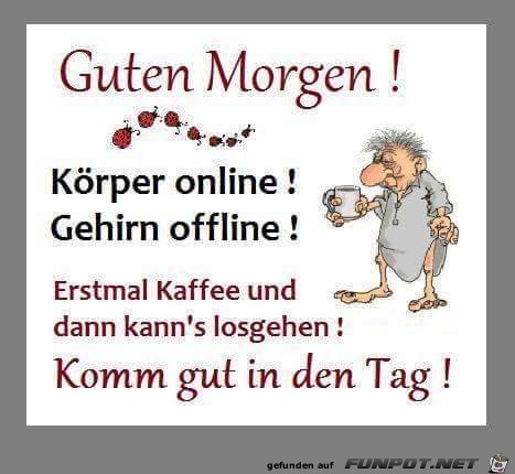 Guten Morgen- -