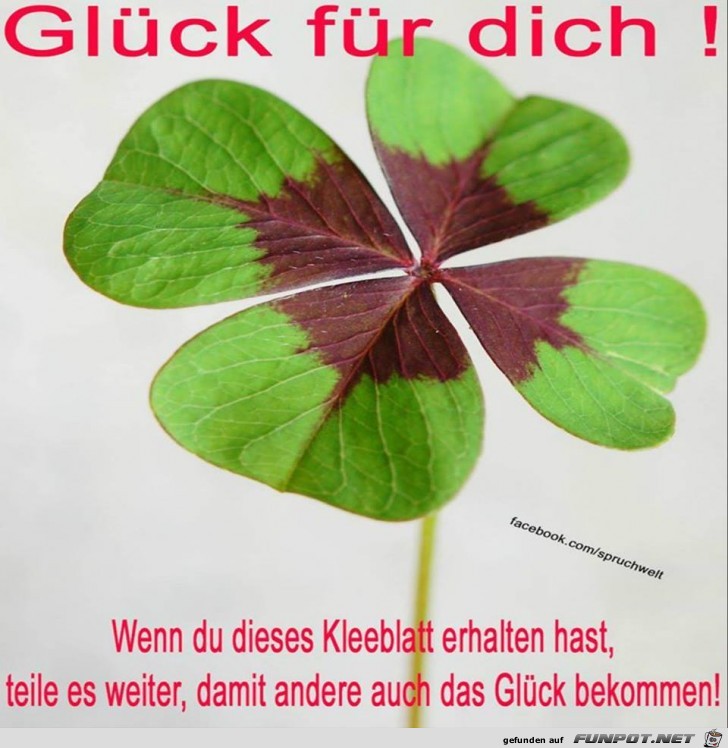 Glueck fuer dich