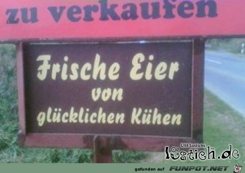 frische Eier 