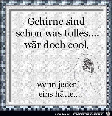 cool cool