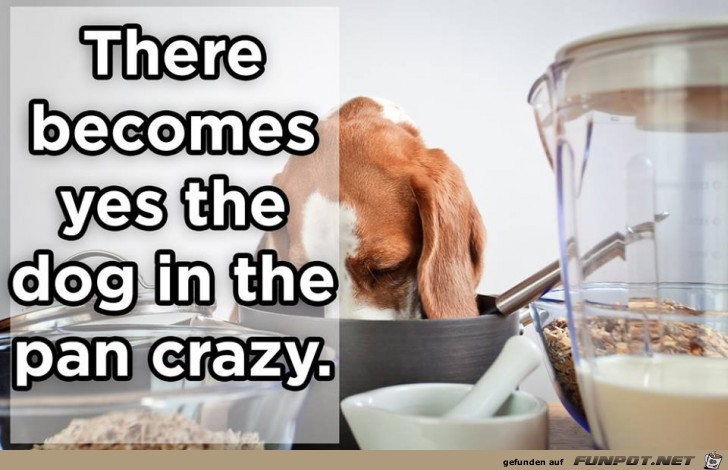 there become yes the dog in the pan crazy
