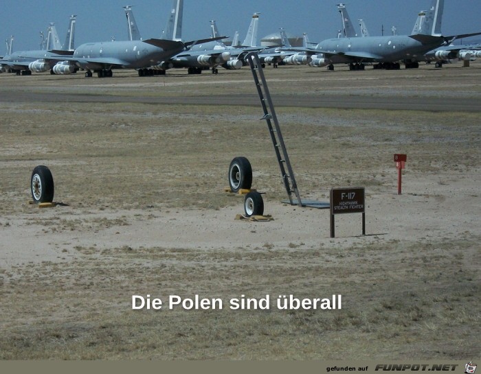 Die Polen sind berall