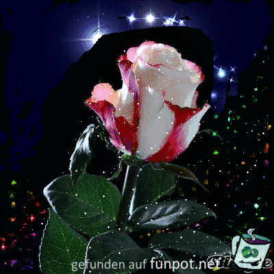 Rose Rose