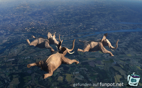 Fliegende Elefanten Fliegende Elefanten