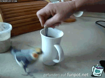 Ich rühre Ich rühre