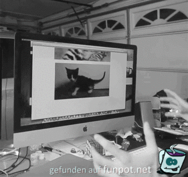 Her mit der Katze Her mit der Katze