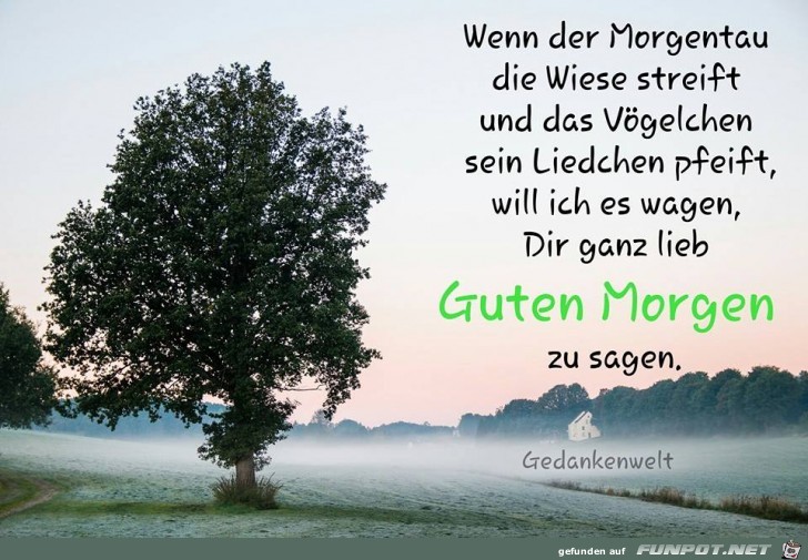 Wenn der Morgentau Wenn der Morgentau