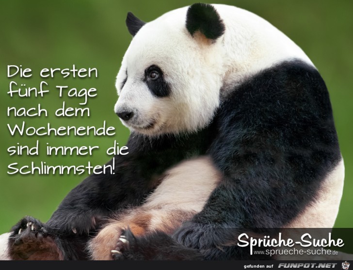 die-ersten-fuenf-tage-nach-d die-ersten-fuenf-tage-nach-d