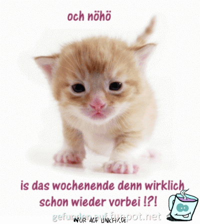 och noeoeoe och noeoeoe