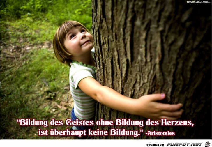 Bildung des Geistes