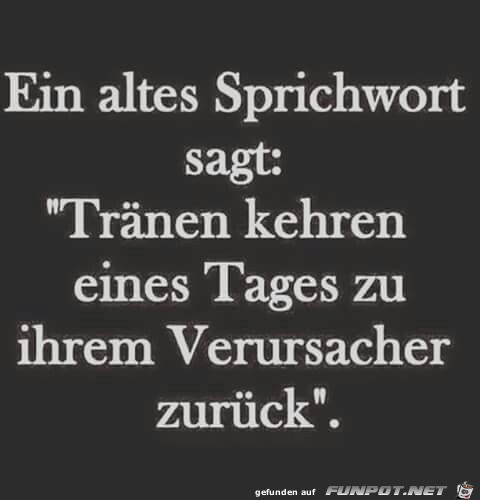Ein altes Sprichwort sagt - Tränen Ein altes Sprichwort sagt - Tränen