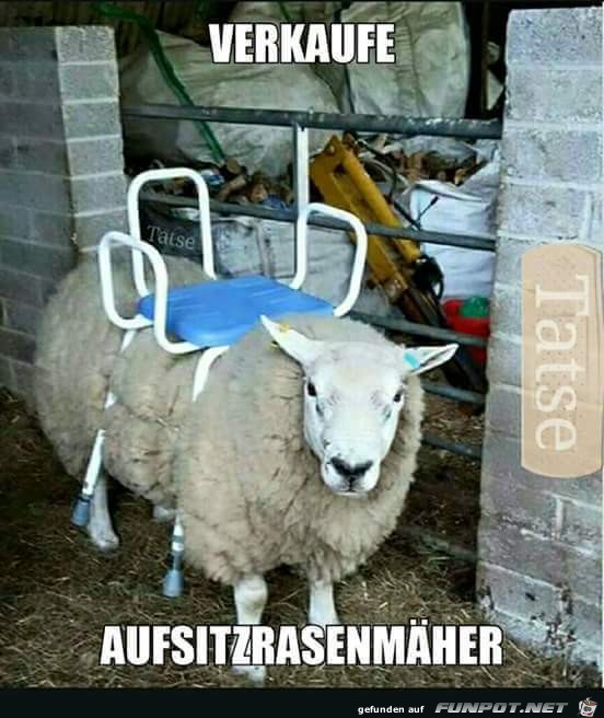 Verkaufe Aufsitzrasenmher