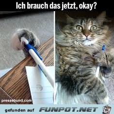 Ich brauch das Ich brauch das