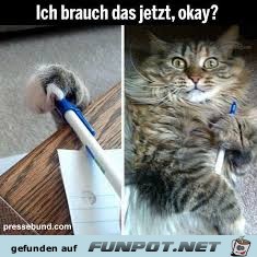 Ich brauch das