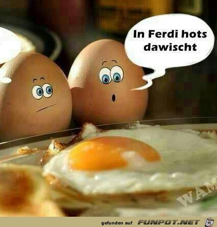 Dawischt