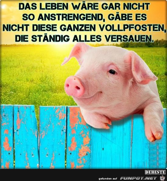 das Leben waere gar nicht das Leben waere gar nicht
