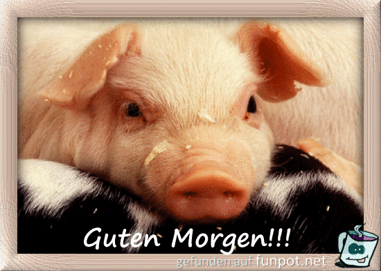 gif guten Morgen