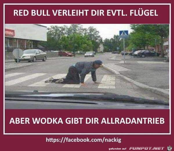 Allradantrieb Allradantrieb