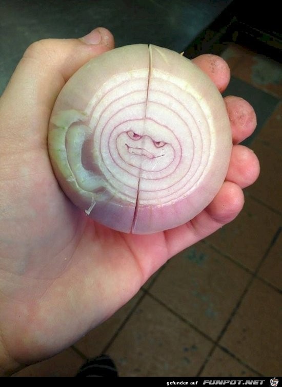 Gesichter Gesichter