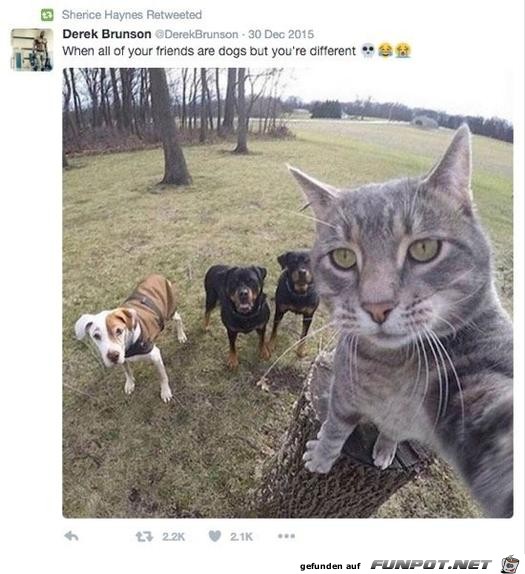 wenn Deine Freunde anders wie Du sind wenn Deine Freunde anders wie Du sind
