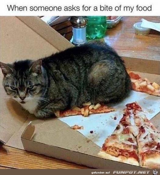 Sie möchte etwas vom Essen Sie möchte etwas vom Essen