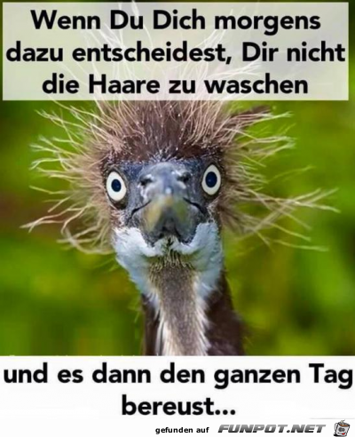 Haare Haare
