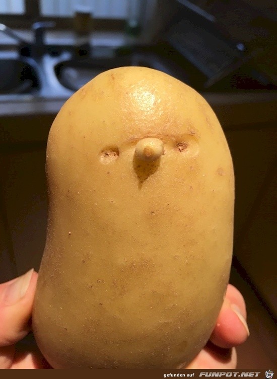 Gesichter Gesichter