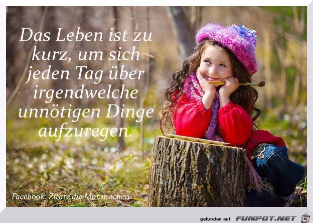 Zu kurz Zu kurz