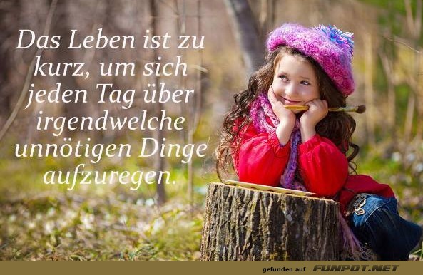10 sch�ne Spr�che und Lebensweisheiten aus...