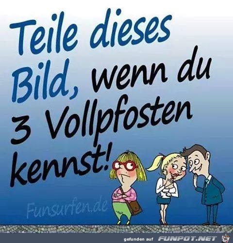 Drei Vollpfosten