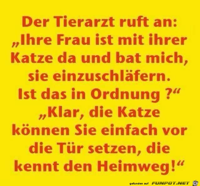 Heimweg Heimweg