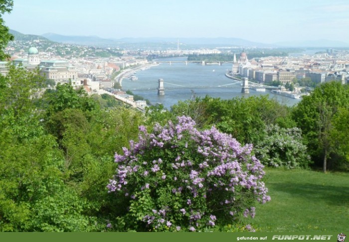 0429-008D Aussicht vom Gellertberg