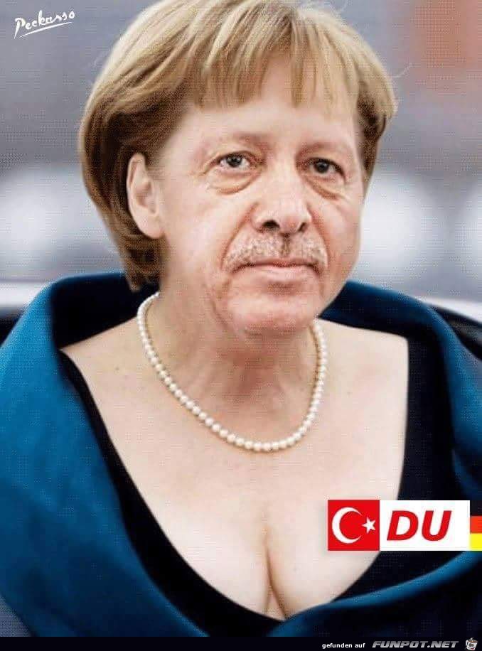 der Erdomerkel