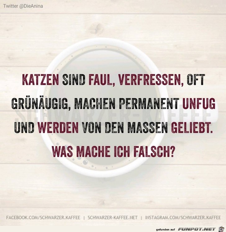 Was mache ich falsch Was mache ich falsch