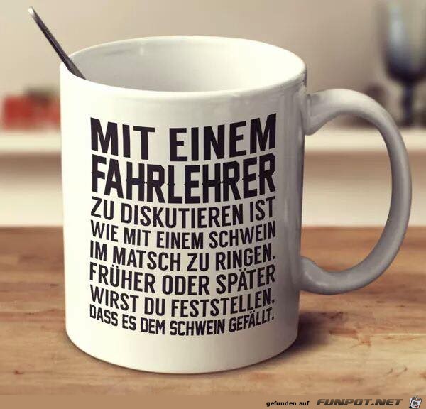 Fahrlehrer Fahrlehrer