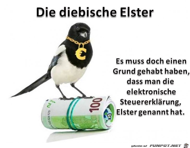 Die diebische Elster