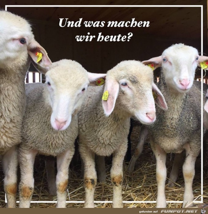 Heute Heute