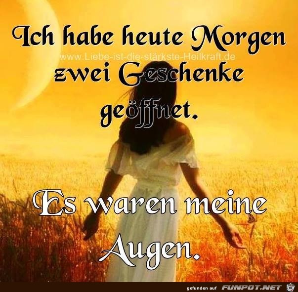 Es waren meine Augen