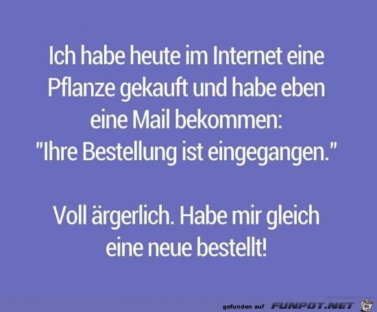 im Interrnet gekauft im Interrnet gekauft