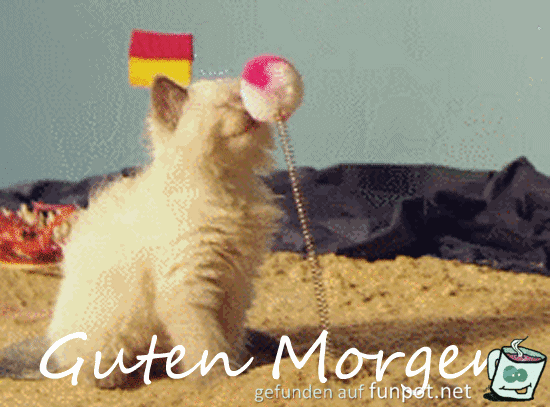 guten morgen guten morgen