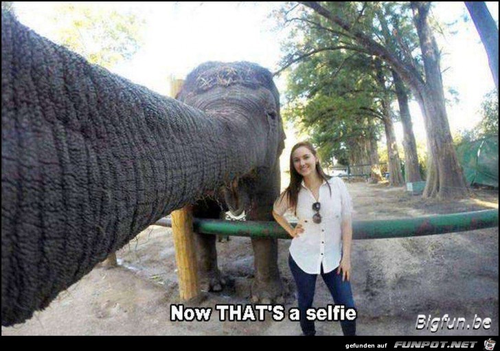 Hilfe beim Selfie Hilfe beim Selfie