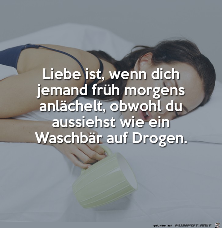 Liebe ist