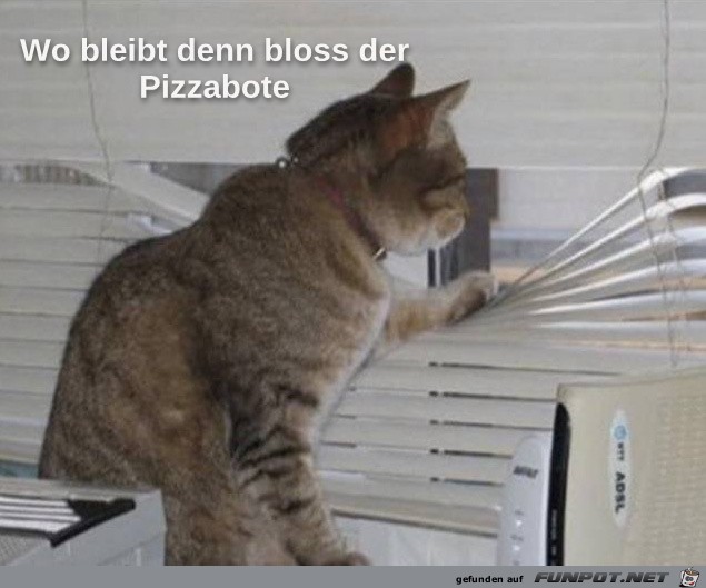 Wo bleibt der Pizzabote