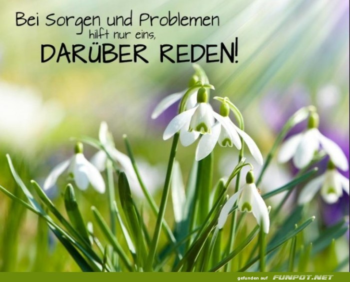 10 sch�ne Spr�che und Lebensweisheiten aus...