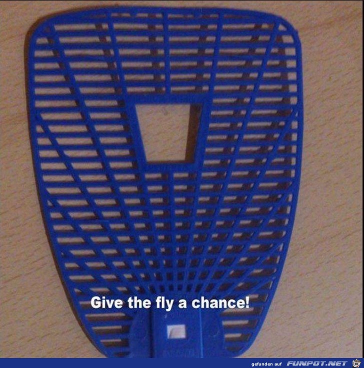 gib der fliege eine chance gib der fliege eine chance