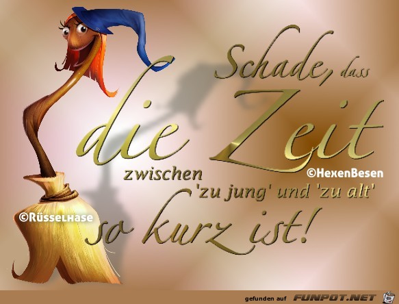 Schade Schade