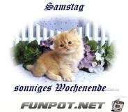 Samstag - sonniges Wochenende Samstag - sonniges Wochenende